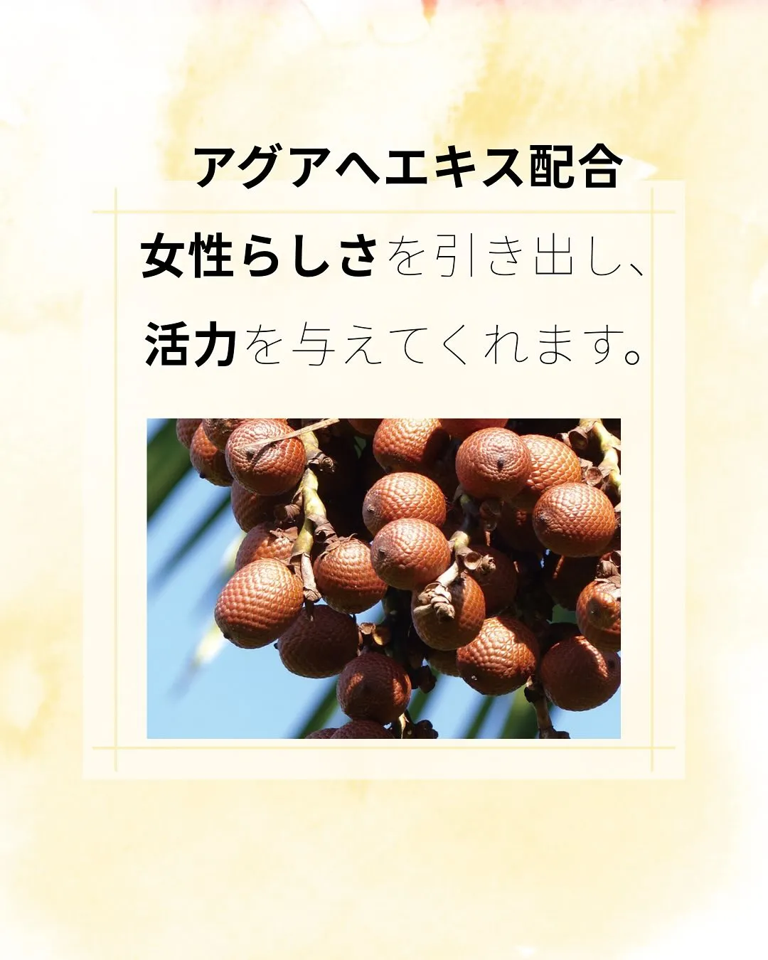 こんにちは、ヨサパーク杣（そま）です🌿