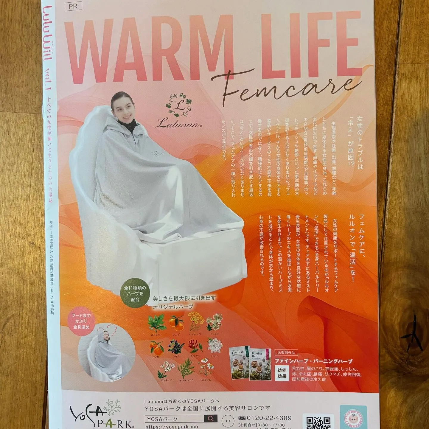 女性活躍支援協会から第1号となる会報誌Lulu Willが創...