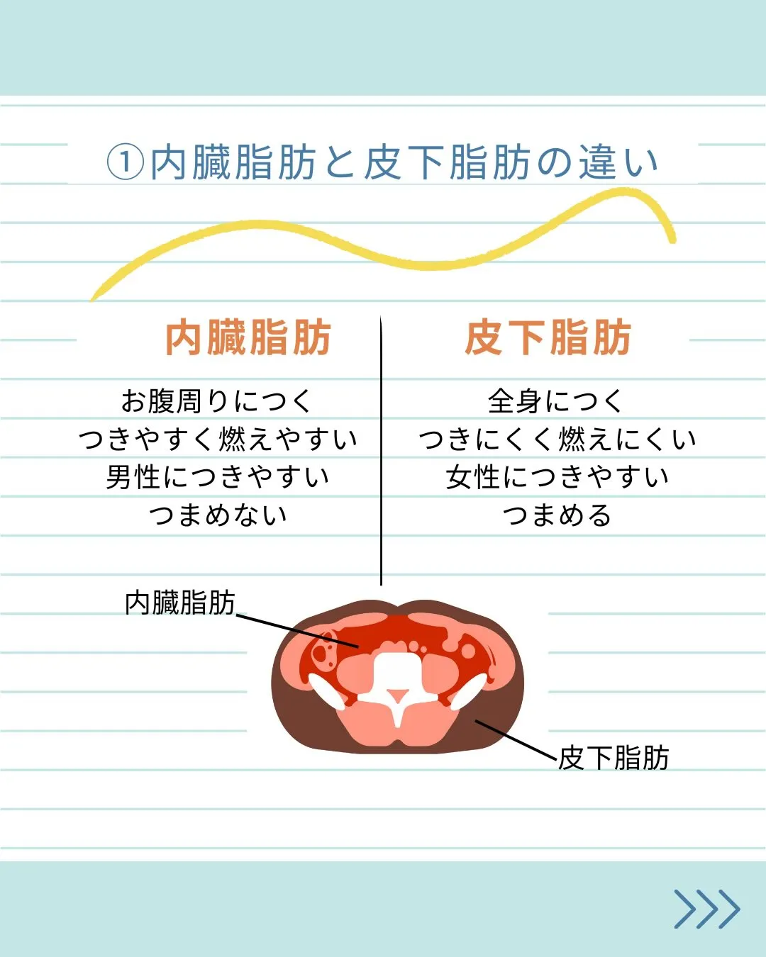 \お腹痩せしたい人集まれ/